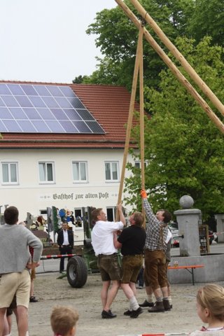 Maibaum 2013